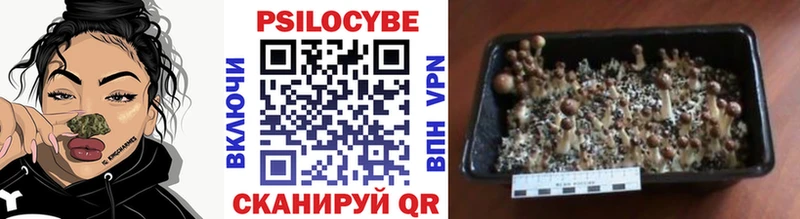 Псилоцибиновые грибы Magic Shrooms Геленджик